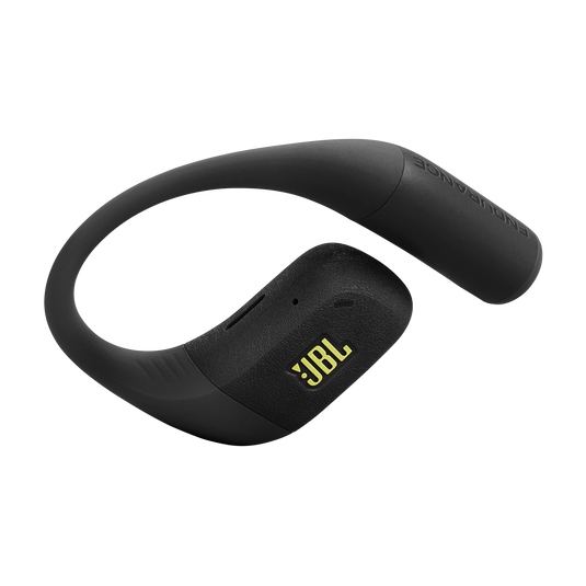 JBL Endurance Zone